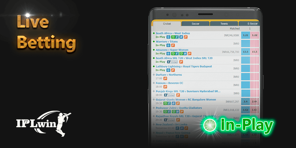 Wild bet777 download
