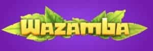 Bet29.com paga